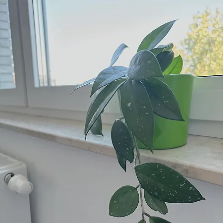 Freshstay-gliwice-old Town 3*