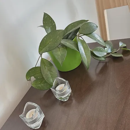 Freshstay-gliwice-old Town Aparthotel 3*