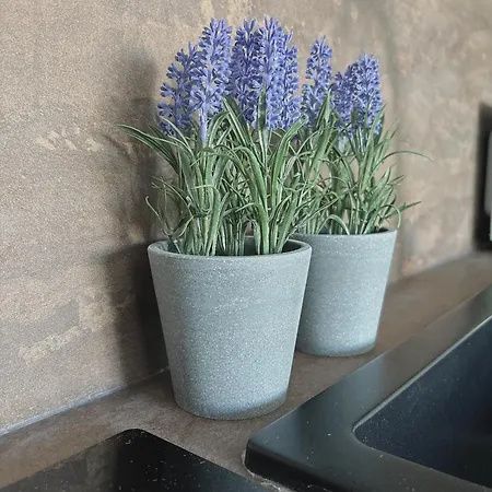 Freshstay-gliwice-old Town Aparthotel 3*