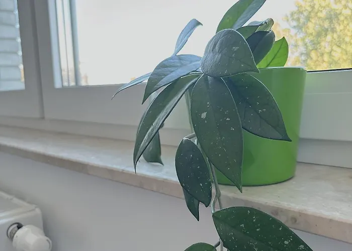 Freshstay-gliwice-old Town 3*