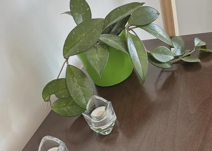 Freshstay-gliwice-old Town Hotel apartamentowy 3*