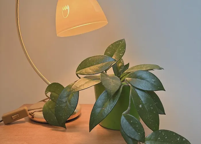 Freshstay-gliwice-old Town