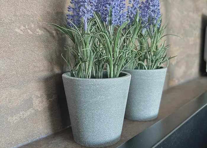 Freshstay-gliwice-old Town Hotel apartamentowy 3*